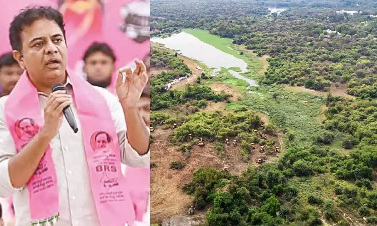 Land Allocation Controversy